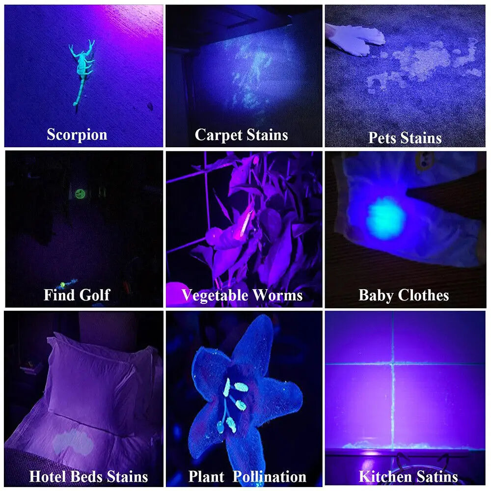 395nm UV Flashlight Blacklight Zoomable USB Rechargeable UV Light Ultraviolet Flashlight for Pet Urine Detection Resin Curing